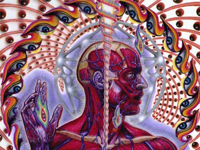 Tool lateralus